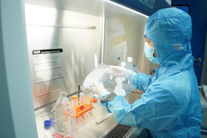 干细胞临床研究获财政支持，有望抵抗多种疾病——医学研究新里程碑